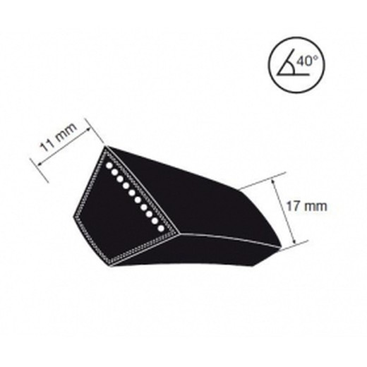 Correa Trapeziodal Tipo B ancho 17 mm.