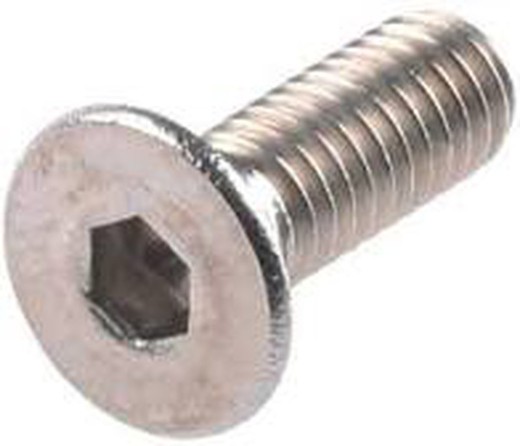 Tornillo Inoxidable Allen Din 7991