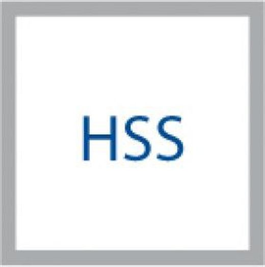 Broca Para Madera con Punta de Centrar Profesional, Referencia 1641 Hss