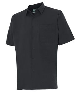 Camisa Manga Corta  Ref. 531