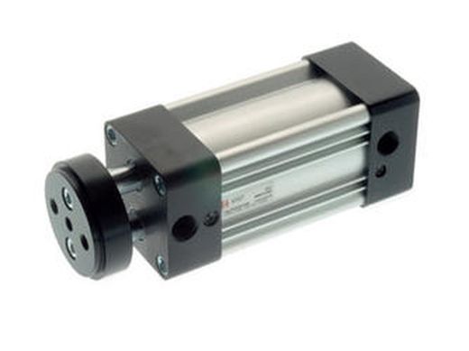 Cilindro Antirrotación Vástagos Gemelos Amortiguado Magnetico Diametro 100,Carrera 25