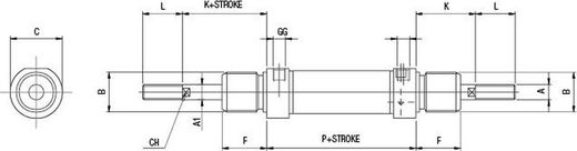 Cilindro Deamp Ø 16 Iso 6432 Amort.Mag.Pasante