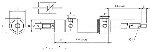 Cilindro Deamp Ø 63 A95 Amort.Mag.Pasante