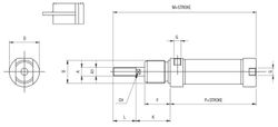 Cilindro Dem Ø 20 Iso 6432 Mag.Aliment.Axial