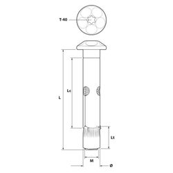 Fixbolt Tornillo Inviolable Tx Cincado