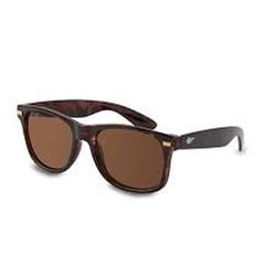 Gafas Mod. City Carey Lente Pc Marrón Solar. Ref. 151.02