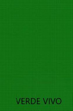Pintura Plástica Monocapa | Diferentes colores | Apta para usar en interior(2,5 Lt)