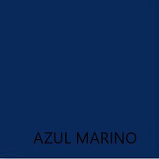Pintura Plástica Monocapa | Diferentes colores | Apta para usar en interior(2,5 Lt)