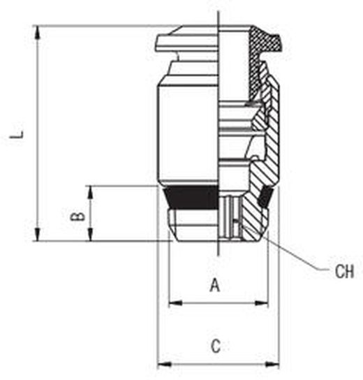 Racor Recto Macho Conico Hexagono Interior