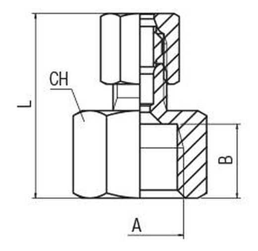 Racor Recto con Rosca Hembra con Bicono Universal, Tubo de 4 a 22, Rosca de 1/8 a 3/4, Referencia 13500