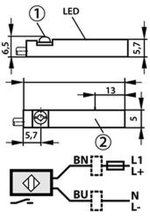 Sensor Magnetico Reed 5-120 V. 2,5 Metros, Referencia DSH2R2F20