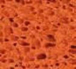 Talocha Goma-Esponja 280x140 Mm