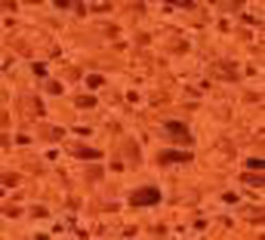 Talocha Goma-Esponja 280x140 Mm