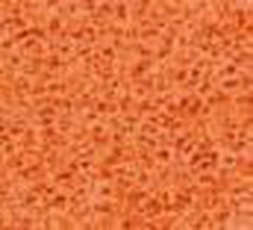 Talocha Goma-Esponja Densa 280x140 Mm