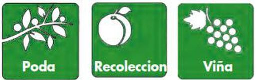 Tijera Vendimia/Recoleccion 180mm