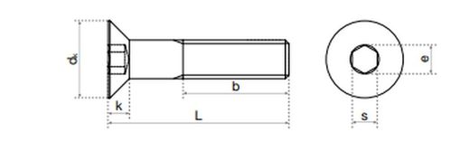Tornillo Inoxidable Allen Din 7991