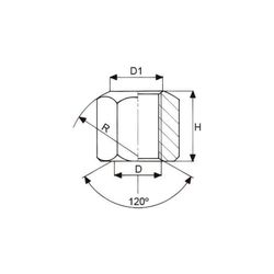 Tuerca Hexagonal Alta Din 6330 B