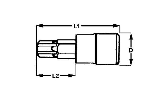 Llave De Vaso Con Punta Torx De 1/4, torx de TX 10 a TX 40